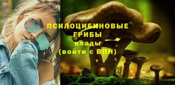 гидропоника Майский