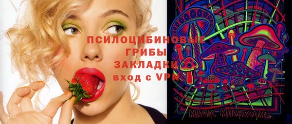 ПСИЛОЦИБИНОВЫЕ ГРИБЫ Магадан