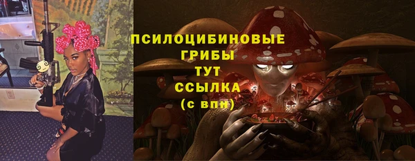 ПСИЛОЦИБИНОВЫЕ ГРИБЫ Магадан